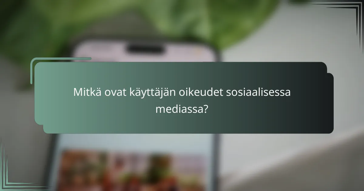 Mitkä ovat käyttäjän oikeudet sosiaalisessa mediassa?